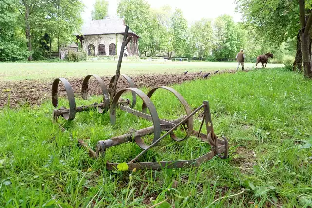 Muzeum Wsi Lubelskiejocena zwiedzających: 4,7 gwiazdki (4 922 opinie Google)adres: al. Warszawska 96, 20-400 Lublinczynne (do końca kwietnia): wt.–ndz. w godz. 9–15 (ostatnie wejście nie później niż godzinę przed zamknięciem)Muzeum etnograficzne w Lublinie założone 1 stycznia 1960 cieszy się największą sympatią zwiedzających w regionie. Skansen, na terenie którego znajdują się zabytki architektury drewnianej, murowanej i zbiory etnograficzne z rejonu dawnego województwa lubelskiego są na liście Państwowego Rejestru Muzeów.źródło: google.com