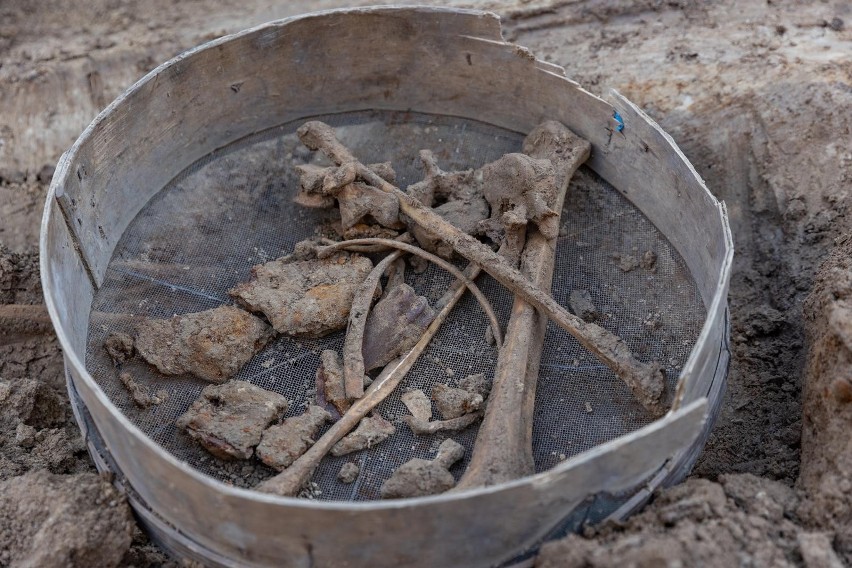 Ponad trzydzieści szkieletów odkryli archeolodzy podczas...