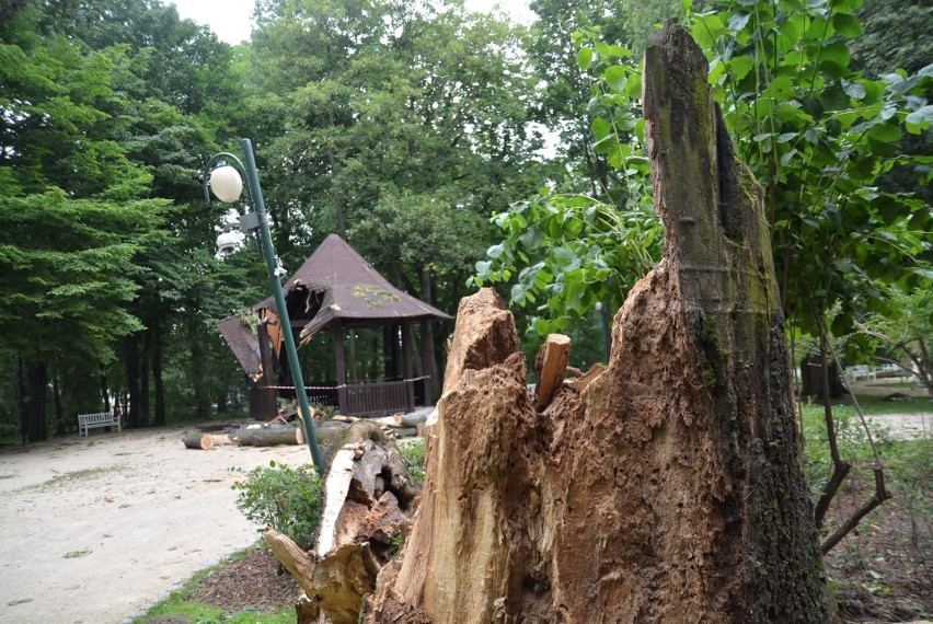 Podczas czwartkowej burzy najbardziej ucierpiał Ogród Saski,...