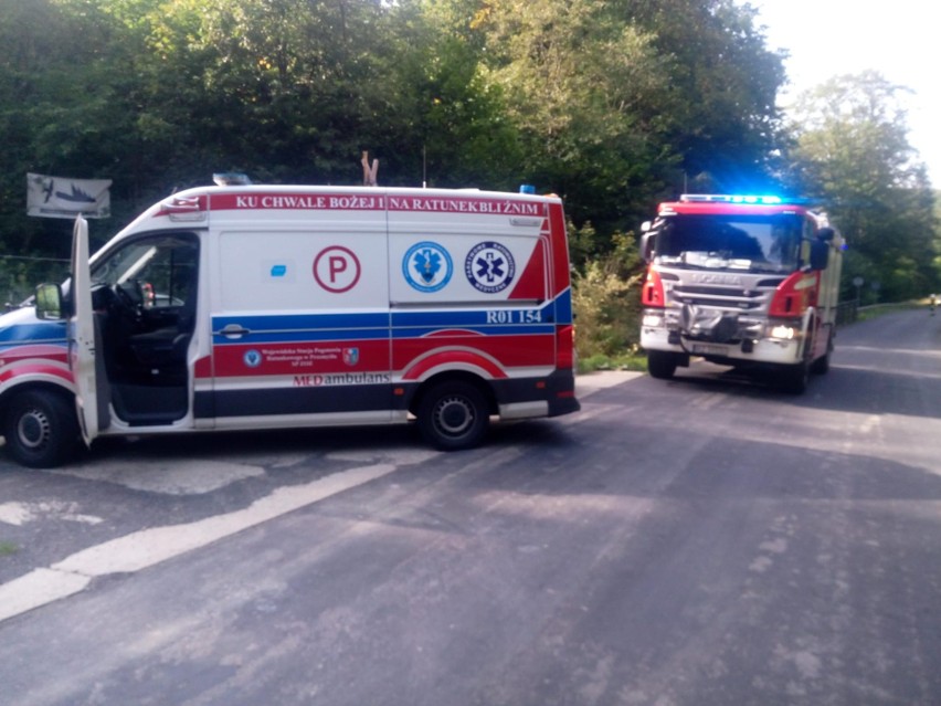 Do wypadku doszło na drodze pomiędzy Makową i Arłamowem...