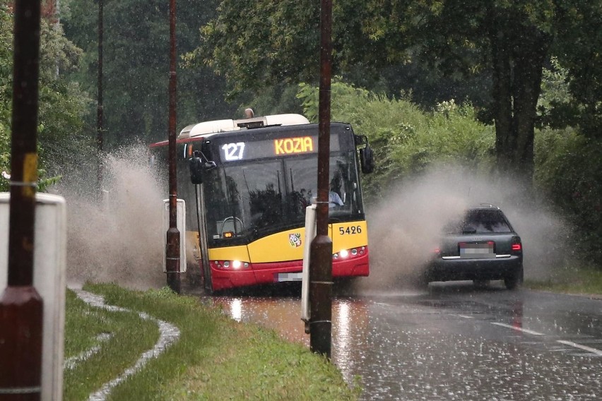 Od najbliższej soboty, 18 lipca, autobus linii 119 w stronę...