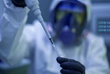 USA: Pfizer ma już szczepionkę przeciwko Omikronowi. Zaczęły się badania kliniczne 