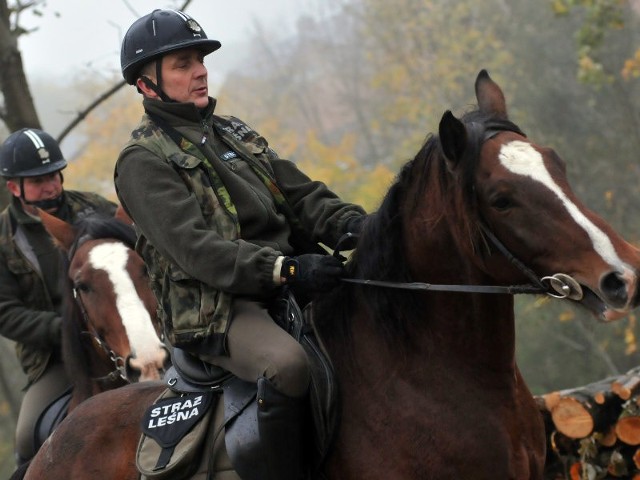 Straż Leśna w Bieszczadach od czasu do czasu patroluje teren konno.