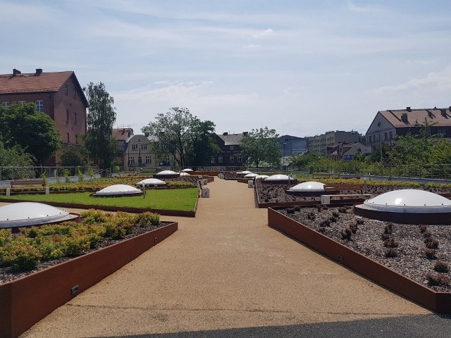 Tak obecnie prezentuje się nowy skwer w centrum Jaworzna. Znajduje się na dachu parkingu samochodowego.  Zobacz kolejne zdjęcia. Przesuń zdjęcia w prawo - wciśnij strzałkę lub przycisk NASTĘPNE