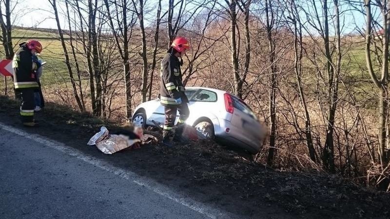 Trzycierz. Samochód uderzył w drzewo. Dwie osoby zostały ranne [ZDJĘCIA]