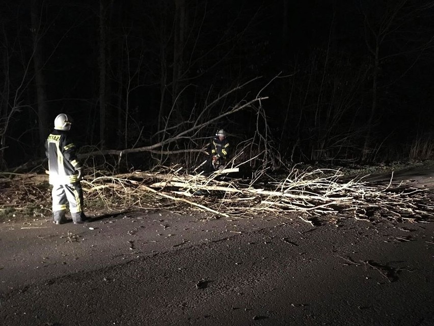Strażacy z OSP Wąsowo usunęli drzewo, które blokowało drogę...
