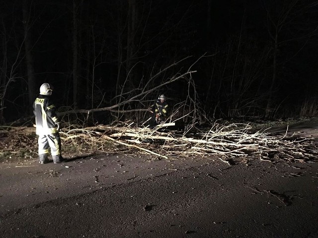 Strażacy z OSP Wąsowo usunęli drzewo, które blokowało drogę Wąsowo-Kuślin. Łącznie w Wielkopolsce odnotowano ponad 50 interwencji.