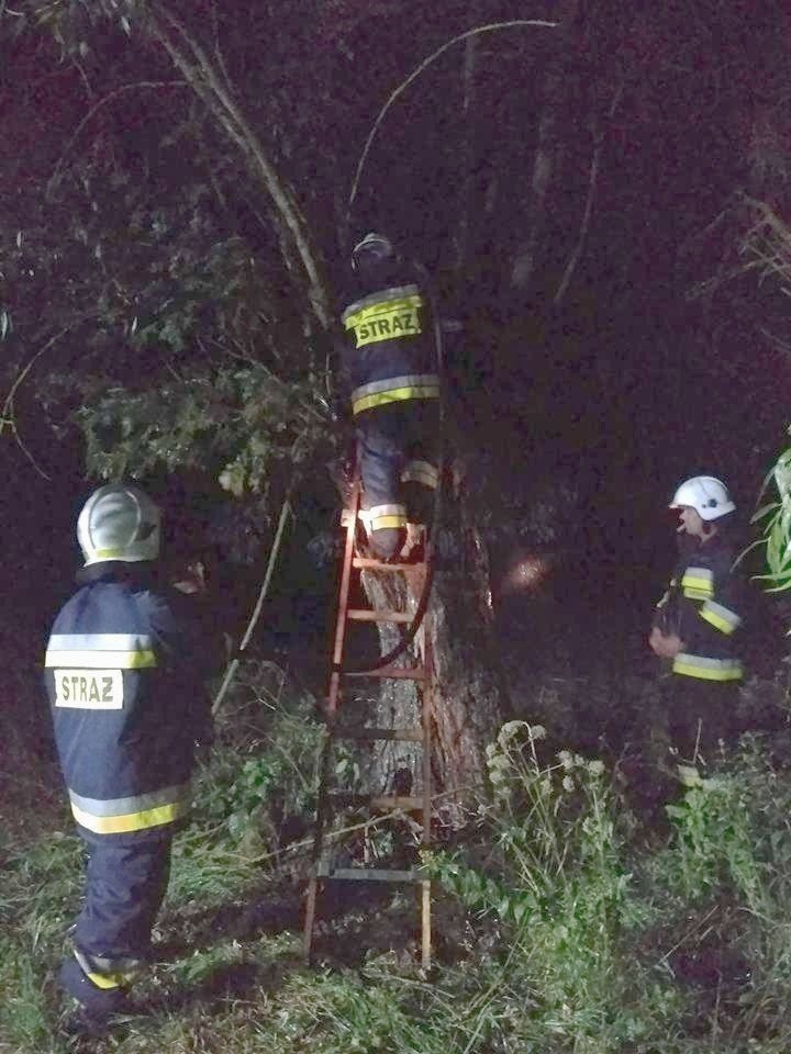 Burze w Podlaskiem. Nocne nawałnice przeszły przez...