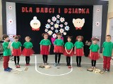 Piękne życzenia dla Babć i Dziadków od uczniów Szkoły Podstawowej w Bilczy, w gminie Obrazów. Zobacz film i zdjęcia 