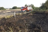 Poznań: Pożar traw i krzewów w rejonie ulicy Radojewo [ZDJĘCIA]
