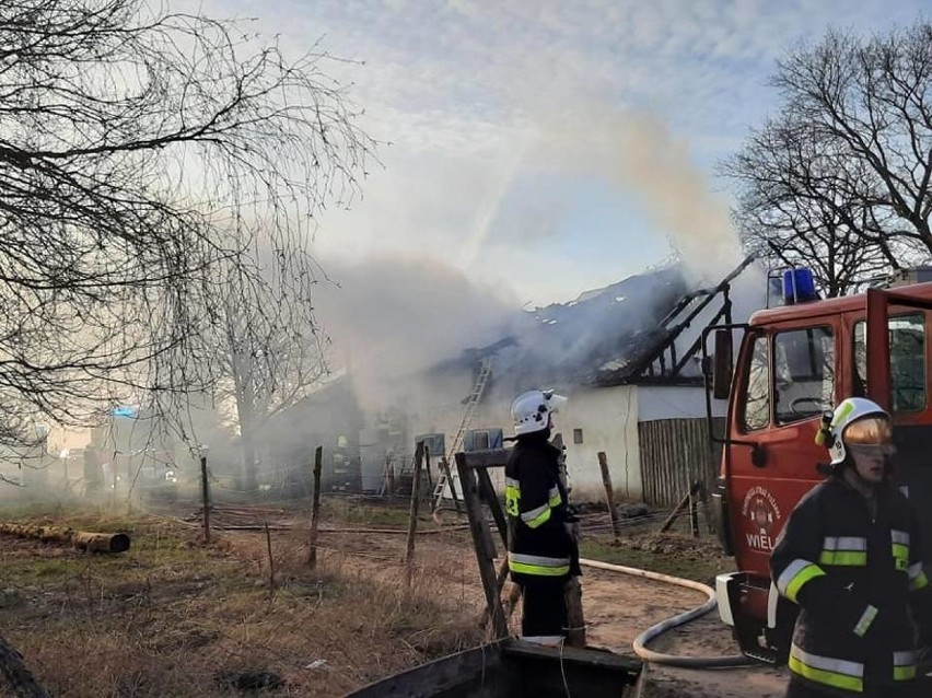 Pożar w Przytarni w gminie Karsin 9.04.2021 r. W stodole było 40 kóz. Na szczęście udało się je uratować