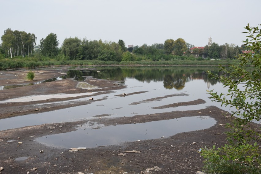 Zanieczyszczony chemikaliami staw Kalina w Świętochłowicach