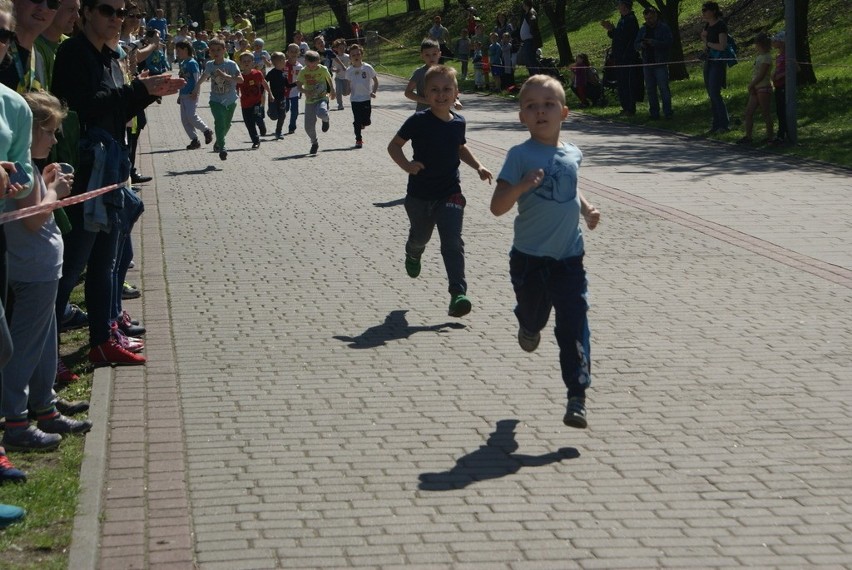 Bieg Skrzata w Parku Hallera zgromadził setki uczestników