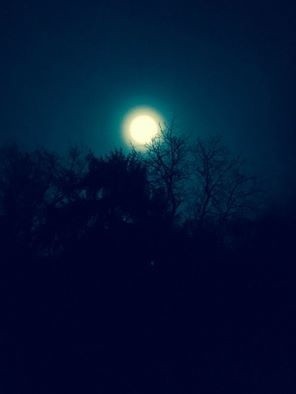Superksiężyc 2016. Największa pełnia Księżyca [ZDJĘCIA]