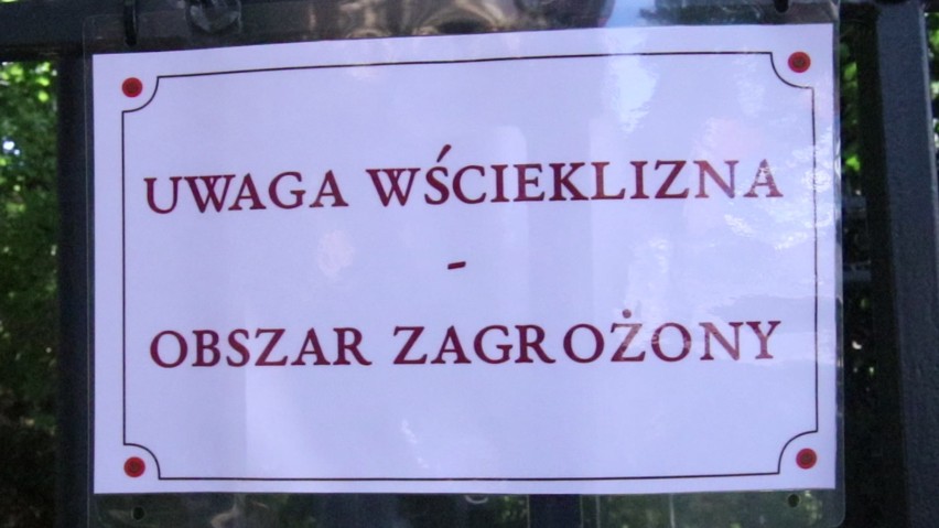 W parku Wilsona w czwartek, z powodu wykrycia wścieklizny,...