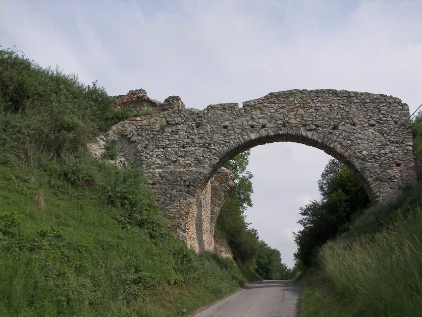 W tym roku wolontariusze wykonają prace  na rzecz  ruin...