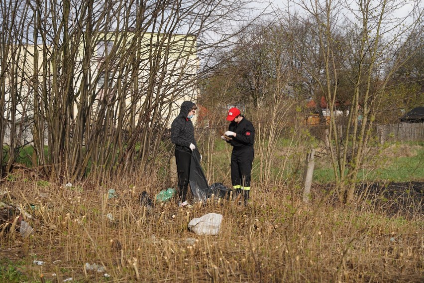 Sprzątnęli kawałek ziemi, posadzili kawałek lasu. Tak w Michałowie świętowano Dzień Ziemi (zdjęcia) 