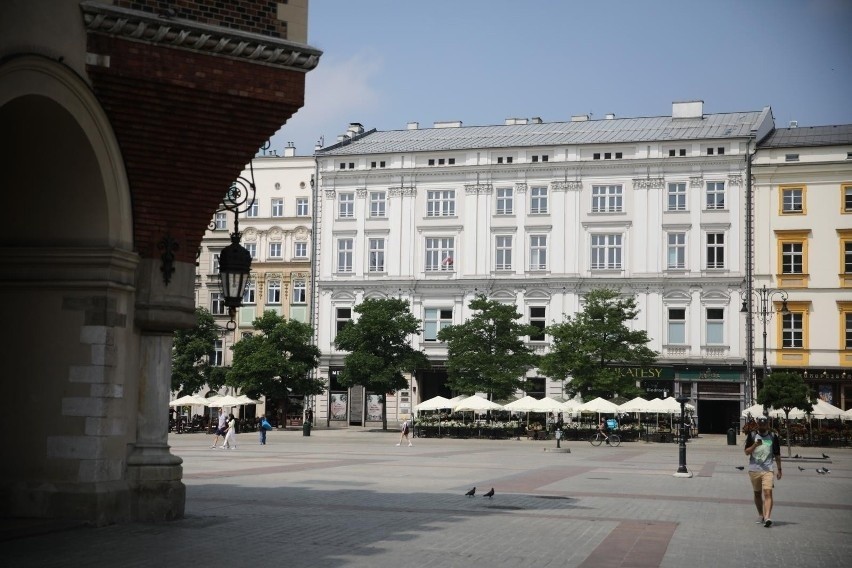 Ten projekt nie jest zalesianiem Rynku Głównego w Krakowie. O "mobilnych" drzewach w donicach nie ma mowy
