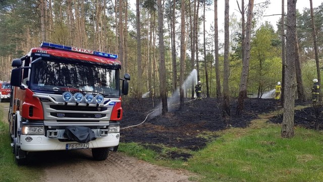 W czwartek, 28 kwietnia około godz. 16 doszło do pożaru lasu przy cmentarzu komunalnym w Bogdanowie. Dzięki szybkiej reakcji strażaków ogień udało się szybko ugasić. Czytaj dalej i zobacz zdjęcia --->