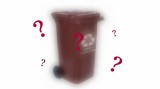 "Ktoś mi ukradł brązowy kontener na bioodpady". Burmistrz Kleczewa wyznaczył wysoką nagrodę