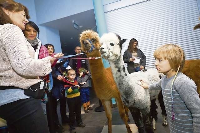 Myślęcinek w ten weekend zaprasza rodziny na mikołajki w zoo