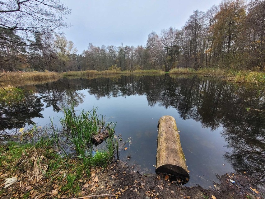 Kąpielisko miejskie w Parku Trendla.