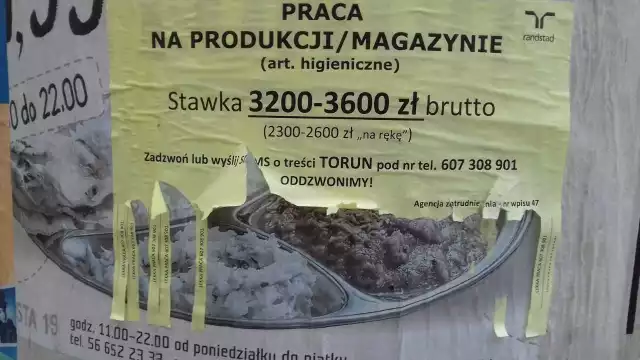 Popularne "Opatrunki" szukają w Toruniu pracowników do prostych prac przy produkcji. Płaca? 3,2-3,6 tys. zł brutto. Czy inne zakłady przebijają tę ofertę? Tak! Sprawdziliśmy.Tekst: Małgorzata Oberlan>>>>SZCZEGÓŁY NA KOLEJNYCH STRONACH