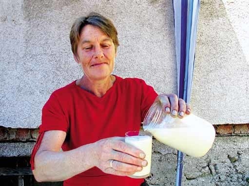 - Żółte mleko jest zdrowsze i bardziej odżywcze od tradycyjnego - twierdzi Stanisława Mac.