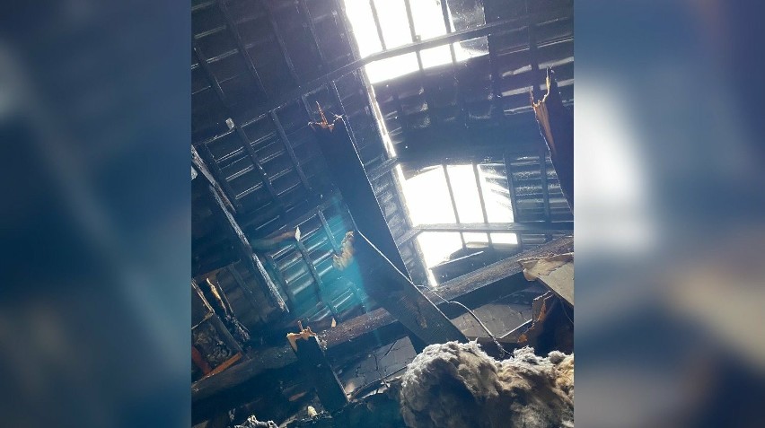 Ruszyła zbiórka dla rodziny, której spłonął dom przy ul. Modrej w Ostrowi Mazowieckiej