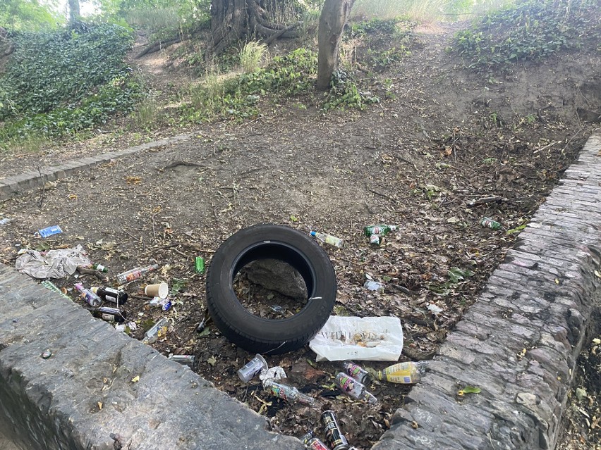 Dzikie wysypisko śmieci zniknie z terenów zielonych przy ulicy Twardowskiego. To problem, który wciąż powraca
