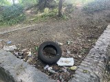 Dzikie wysypisko śmieci zniknie z terenów zielonych przy ulicy Twardowskiego. To problem, który wciąż powraca