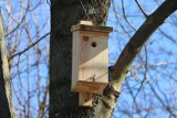 Wozy strażackie pozamiatały budżet obywatelski. Ale są i inne ciekawe pomysły.