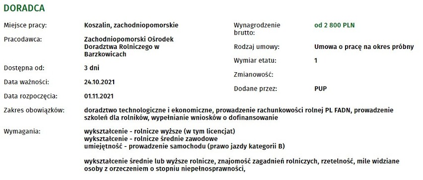 30 nowych ofert pracy w Koszalinie. Sprawdź warunki, zarobki! 