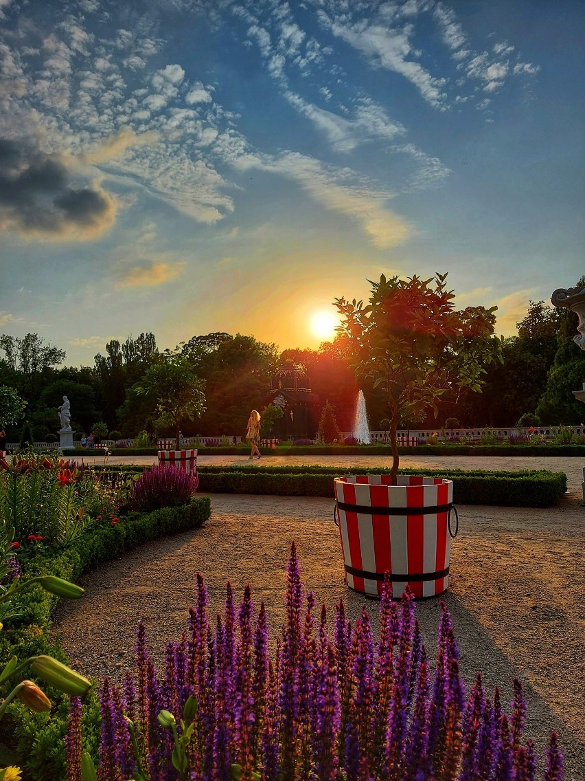 Białystok. Ogród Pałacu Branickich to jeden z najpiękniejszych ogrodów w Polsce. Zobacz jak wspaniale wygląda, gdy kwitną kwiaty [ZDJĘCIA] 