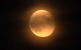 Superpełnia Księżyca w Inowrocławiu. Tak mieszkańcy miasta obserwowali zjawisko