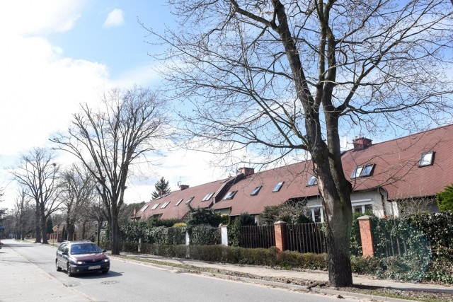 Właściciel posesji ma obowiązek sprzątać przyległy do niej chodnik. Na zdjęciu ulica Okólna w Toruniu