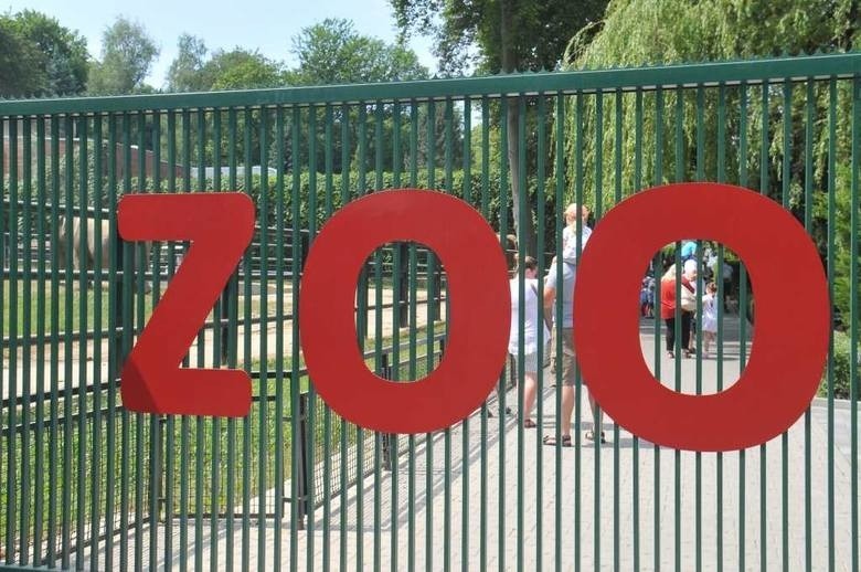 Krakowskie zoo ma nowego dyrektora oraz dwóch wicedyrektorów