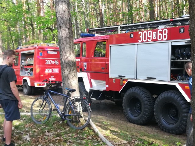 Pożar lasu koło Ozimka.