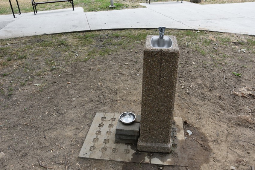 Tarnów. W Parku Piaskówka mieszkańcy mogą napić się wody