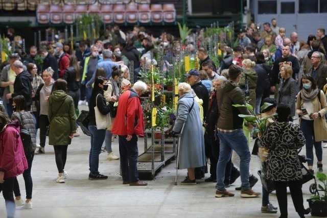 Festiwal Roślin zapowiada kolejną edycję w Katowicach już na wiosnę. Będzie można kupić zieleń w promocyjnych cenach >>>