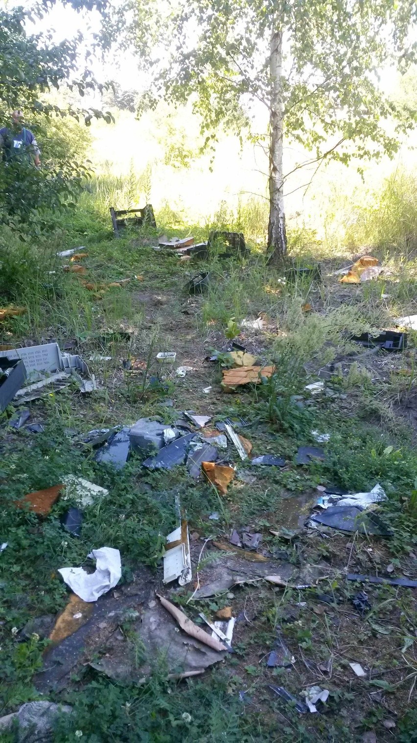 Wstyd! Plaga dzikich wysypisk w Szczecinie. Ponad 100 ton śmieci w lasach 