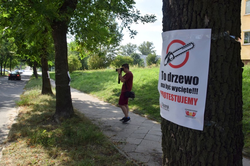 Mieszkańcy Kielc protestowali przeciwko wycince drzew pod inwestycję drogową. Oglądaj zapis transmisji 