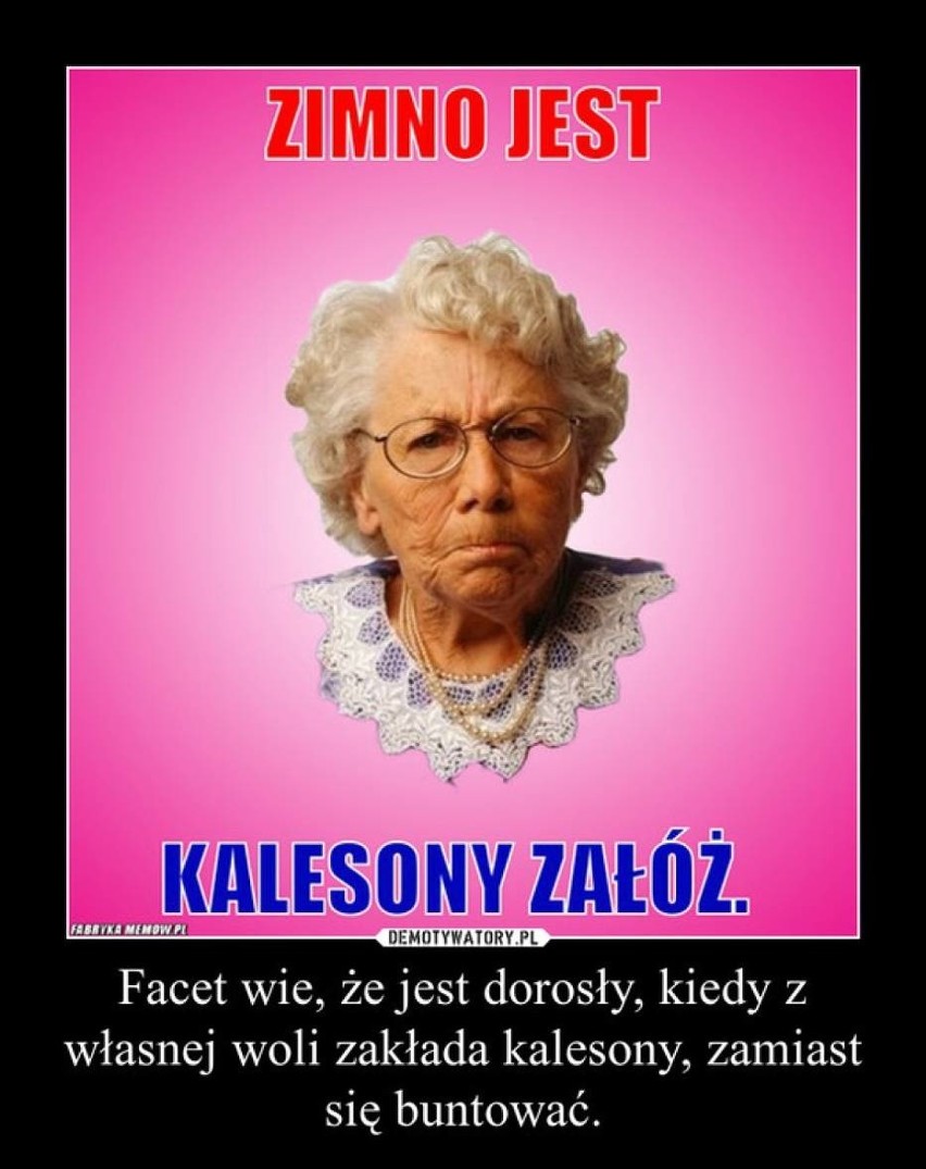 Dzień Babci na wesoło! Zobaczcie najśmieszniejsze memy stworzone przez internautów 