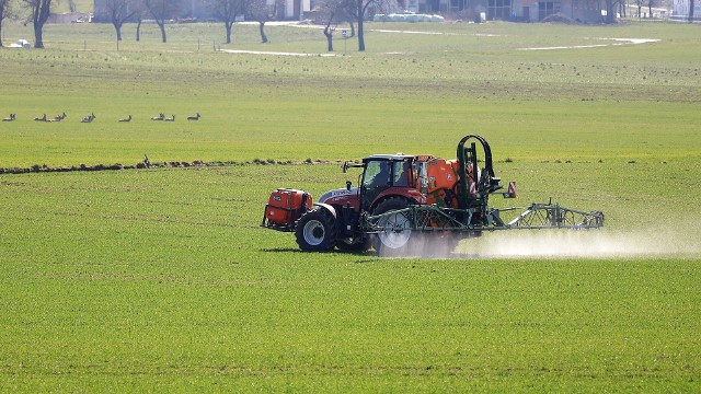 Rolnicy coraz częściej narzekają na straty powodowane przez dziką zwierzynę, która niszczy nie tylko uprawy, ale i płody rolne. Sprawdziliśmy, do kogo mogą się zwrócić rolnicy, by móc ubiegać się o odszkodowanie lub przynajmniej zwrot części poniesionych kosztów.