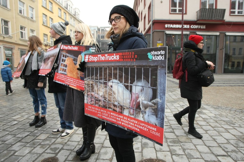 Wrocław: Protestowali w obronie zwierząt (FILM, ZDJĘCIA)