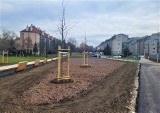 Kraków. Park Kurdwanów przechodzi rewitalizację. Nie wszystkim przypadła do gustu, dlatego miasto zaprasza... na piknik