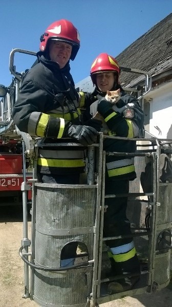Strażacy uratowali kota
