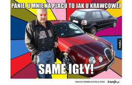 Mirek Handlarz MEMY. Najlepsze teksty handlarza samochodami