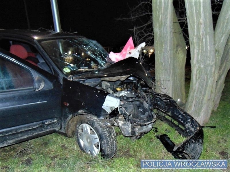 Pijany kierowca uderzył w drzewo. Grożą mu nawet 2 lata więzienia