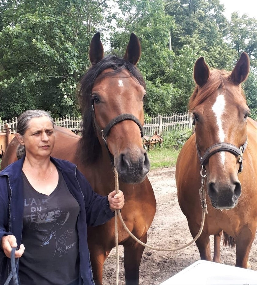 MISTRZOWIE AGRO Sprawdź liderów akcji i zagłosuj na swoich faworytów!